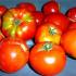 Tomates.jpg