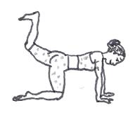 Travail du grand fessier et des ischios-jambiers