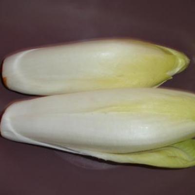 Endive.jpg