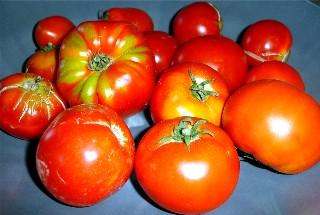 Tomates.jpg