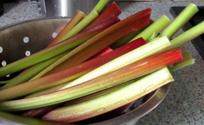 Rhubarbe